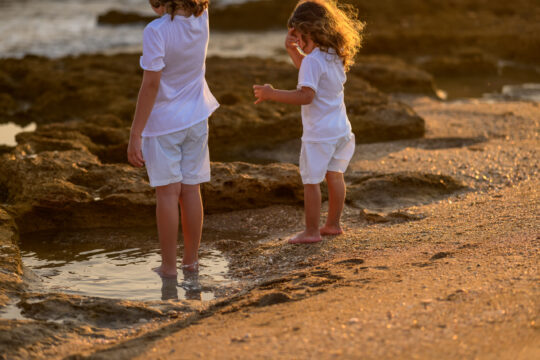 צילומי אחים