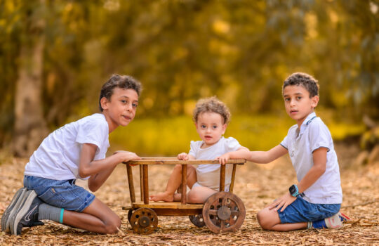 צילומי משפחה בטבע